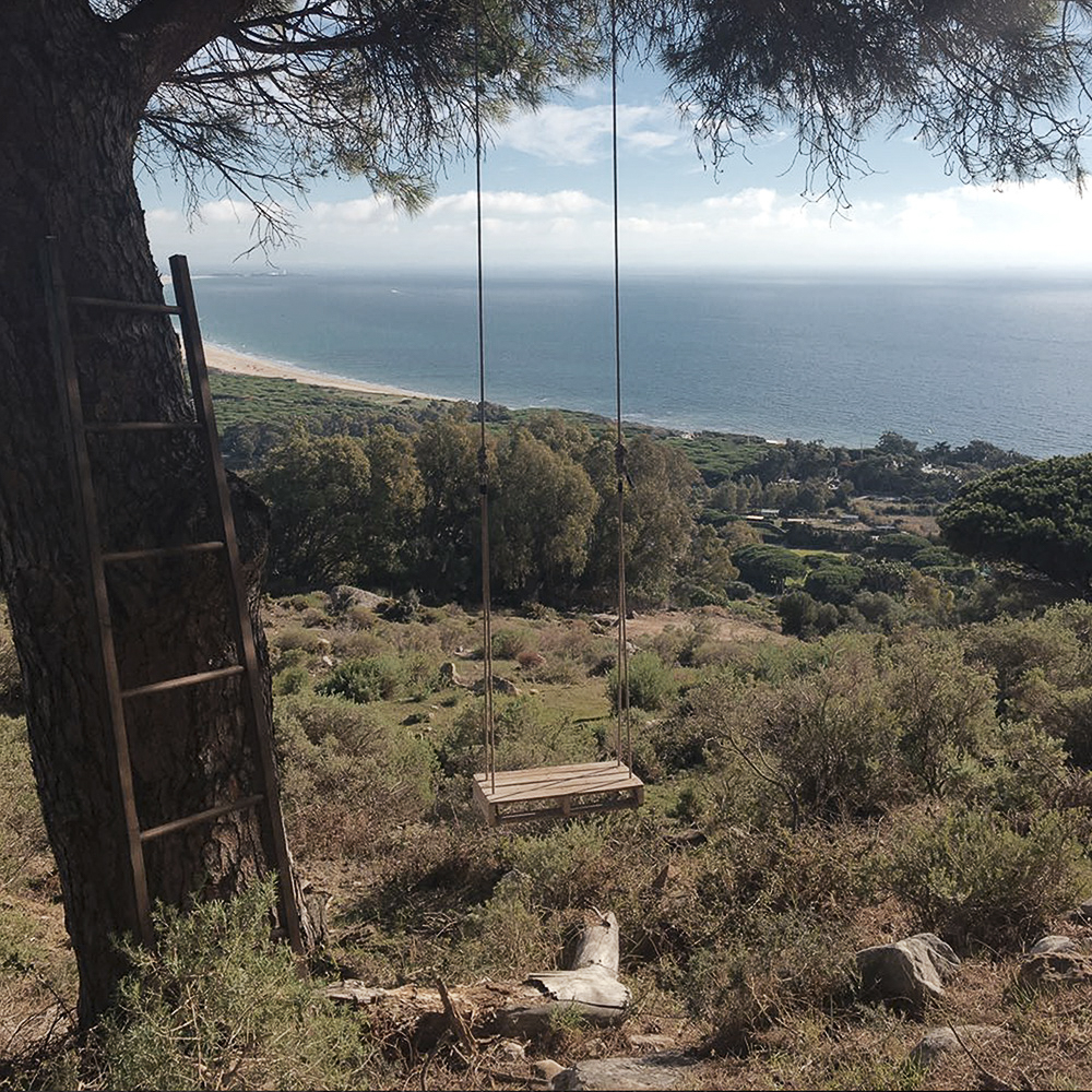 Schaukel am Baum mit einer angelehnten Leiter und Ausblick aufs Meer