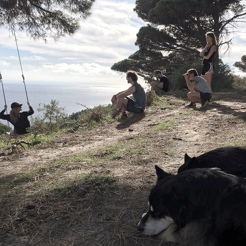 Hunde und mehrere Leute auf einem Wanderweg am Hang bei einer Schaukel